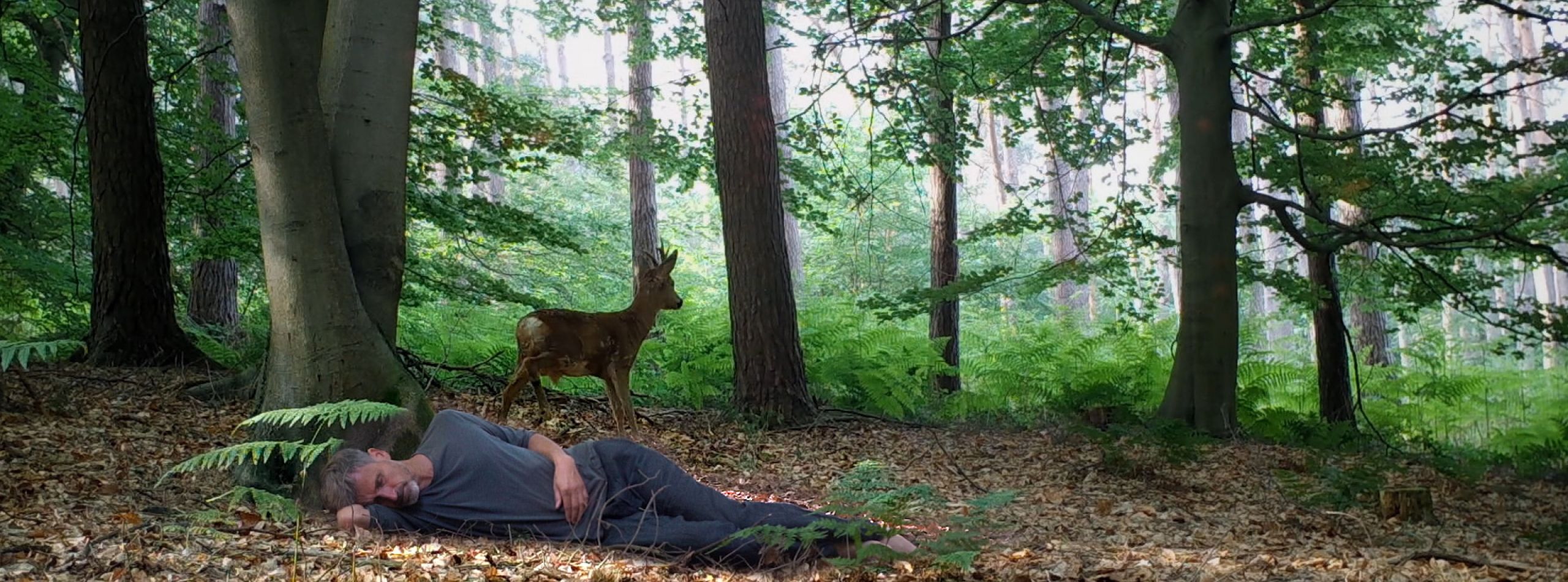 The Wakeful Sleeper